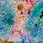 image: Image from the photoset &lsquo;damage (cclxxxv)&rsquo;.