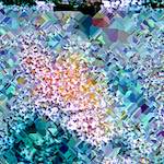 image: Image from the photoset &lsquo;damage (cclxxxvi)&rsquo;.