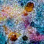 image: Image from the photoset &lsquo;damage (cclxxxvi)&rsquo;.