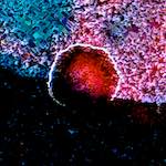 damage 281&ndash;300 photosets