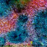 image: Image from the photoset &lsquo;damage (cclxxxvi)&rsquo;.