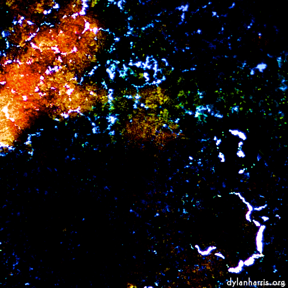 image: This is &lsquo;damage (cclxxxvii) 4&rsquo;.