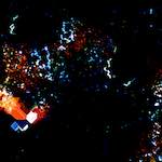 image: Image from the photoset &lsquo;damage (cclxxxvii)&rsquo;.