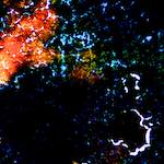 image: Image from the photoset &lsquo;damage (cclxxxvii)&rsquo;.