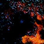 image: Image from the photoset &lsquo;damage (cclxxxvii)&rsquo;.