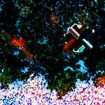 image: Image from the photoset &lsquo;damage (cclxxxviii)&rsquo;.