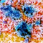 image: Image from the photoset &lsquo;damage (cclxxxviii)&rsquo;.