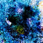 image: Image from the photoset &lsquo;damage (cclxxxviii)&rsquo;.