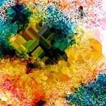 image: Image from the photoset &lsquo;damage (cclxxxviii)&rsquo;.