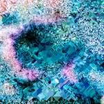 image: Image from the photoset &lsquo;damage (cclxxxviii)&rsquo;.