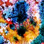 image: Image from the photoset &lsquo;damage (cclxxxviii)&rsquo;.