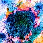 image: Image from the photoset &lsquo;damage (cclxxxix)&rsquo;.