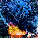 image: Image from the photoset &lsquo;damage (cclxxxix)&rsquo;.