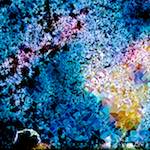 image: Image from the photoset &lsquo;damage (cclxxxix)&rsquo;.