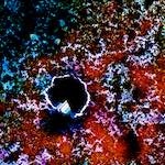 image: Image from the photoset &lsquo;damage (cclxxxix)&rsquo;.