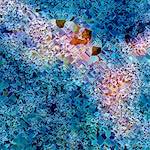 image: Image from the photoset &lsquo;damage (cclxxxix)&rsquo;.