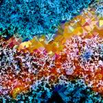 image: Image from the photoset &lsquo;damage (ccxci)&rsquo;.