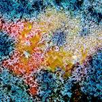 image: Image from the photoset &lsquo;damage (ccxci)&rsquo;.