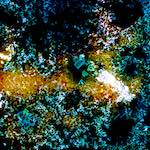 image: Image from the photoset &lsquo;damage (ccxci)&rsquo;.