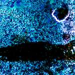 image: Image from the photoset &lsquo;damage (ccxci)&rsquo;.