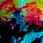 image: Image from the photoset &lsquo;damage (clxxxviii)&rsquo;.