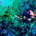 image: Image from the photoset &lsquo;damage (clxxxix)&rsquo;.