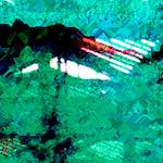 image: Image from the photoset &lsquo;damage (clxxxix)&rsquo;.