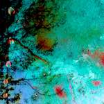 image: Image from the photoset &lsquo;damage (cxci)&rsquo;.