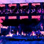 image: Image from the photoset &lsquo;damage (cxciii)&rsquo;.