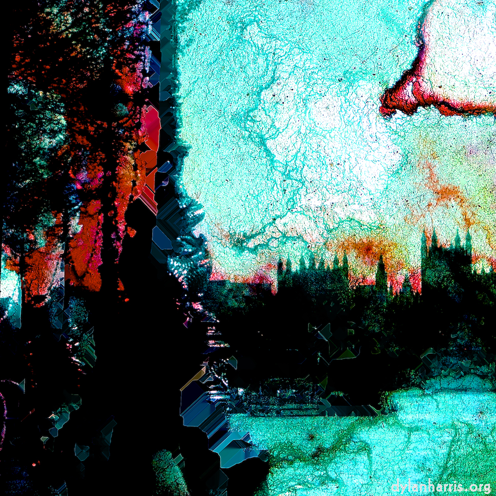 image: This is &lsquo;damage (cxciv) 9&rsquo;.