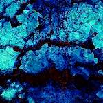 image: Image from the photoset &lsquo;damage (cxcvi)&rsquo;.