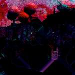 image: Image from the photoset &lsquo;damage (cc)&rsquo;.