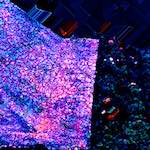 image: Image from the photoset &lsquo;damage (cci)&rsquo;.