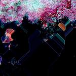 image: Image from the photoset &lsquo;damage (cci)&rsquo;.