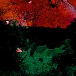 Third image from the photoset 'damage (ccii)'.