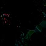 Eighth image from the photoset 'damage (ccii)'.