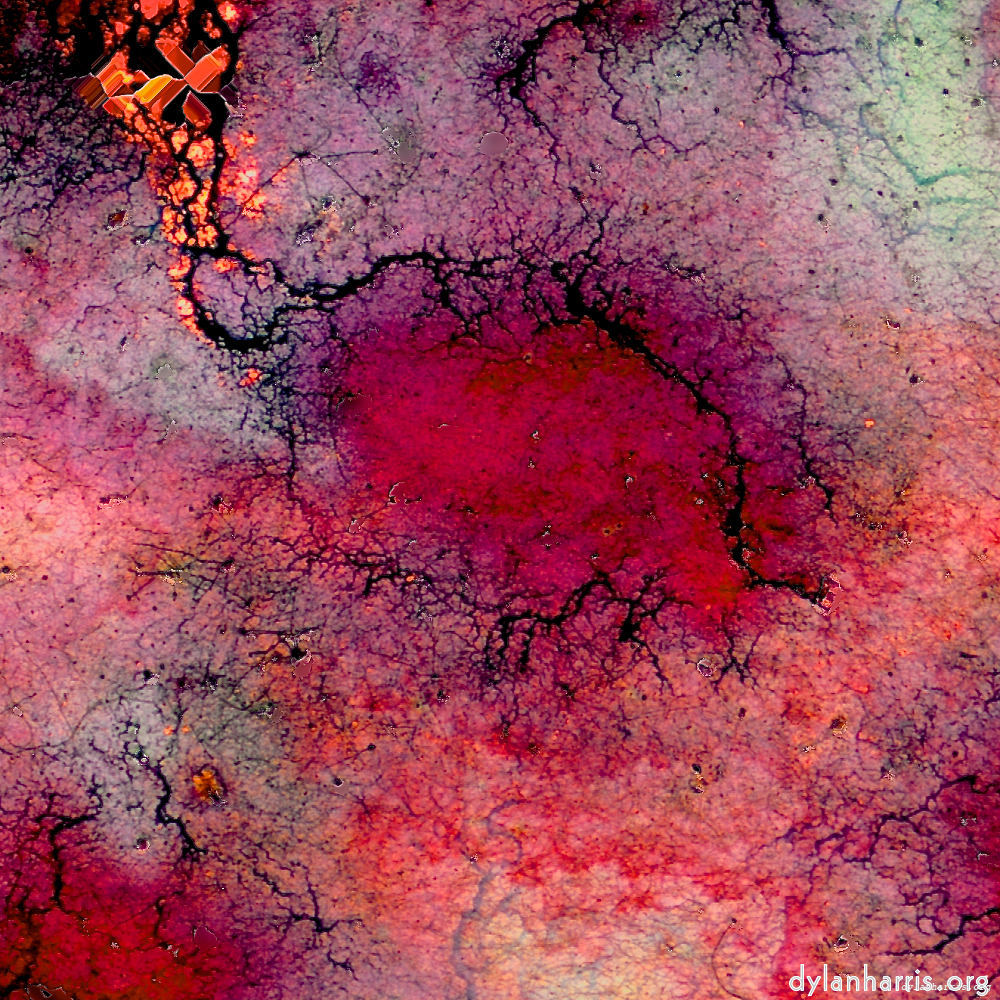 image: This is &lsquo;damage (cciii) 5&rsquo;.