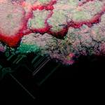 image: Image from the photoset &lsquo;damage (cciii)&rsquo;.