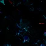 image: Image from the photoset &lsquo;damage (ccxi)&rsquo;.