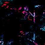 image: Image from the photoset &lsquo;damage (ccxi)&rsquo;.