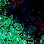 image: Image from the photoset &lsquo;damage (ccxi)&rsquo;.