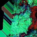 image: Image from the photoset &lsquo;damage (ccxii)&rsquo;.