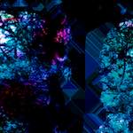 image: Image from the photoset &lsquo;damage (ccxiv)&rsquo;.