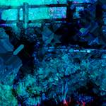 image: Image from the photoset &lsquo;damage (ccxv)&rsquo;.