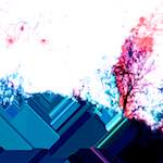 image: Image from the photoset &lsquo;damage (ccxviii)&rsquo;.