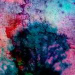 image: Image from the photoset &lsquo;damage (ccxxi)&rsquo;.