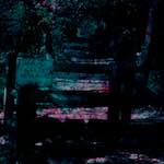 image: Image from the photoset &lsquo;damage (ccxxii)&rsquo;.