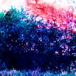 image: Image from the photoset &lsquo;damage (ccxxii)&rsquo;.