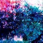 image: Image from the photoset &lsquo;damage (ccxxii)&rsquo;.