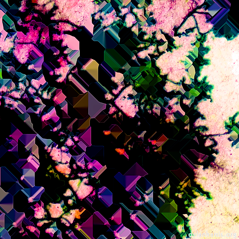 image: This is &lsquo;damage (ccxxv) 7&rsquo;.